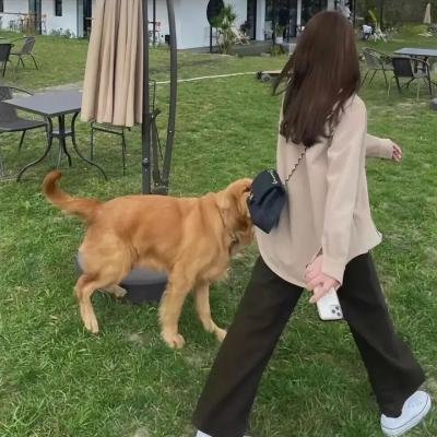反伪先锋